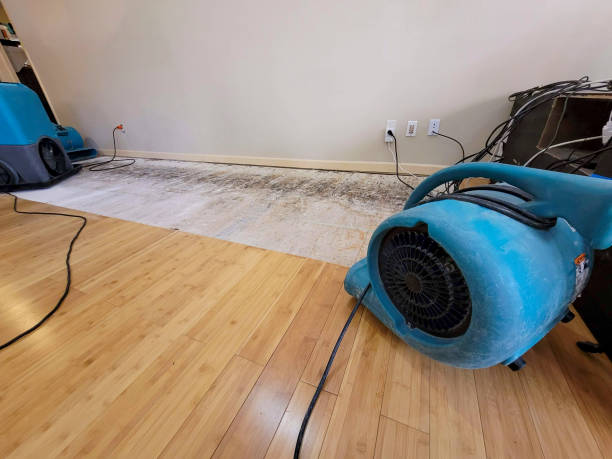 Professional Structural Drying technician working in Foreston, MN